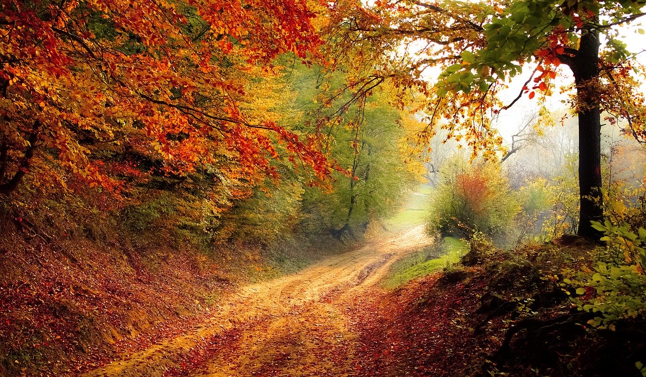autumn walks in england