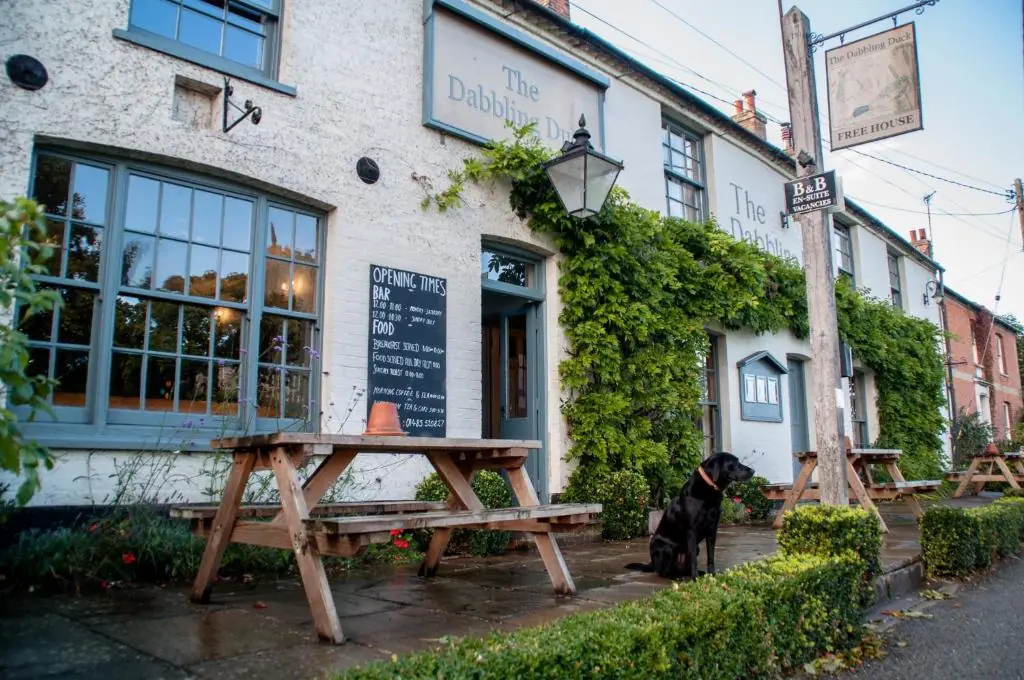 Close-up image of The Dabbling Duck with a bench outside and a black dog sitting next to it. Best Pubs with Rooms in Norfolk.