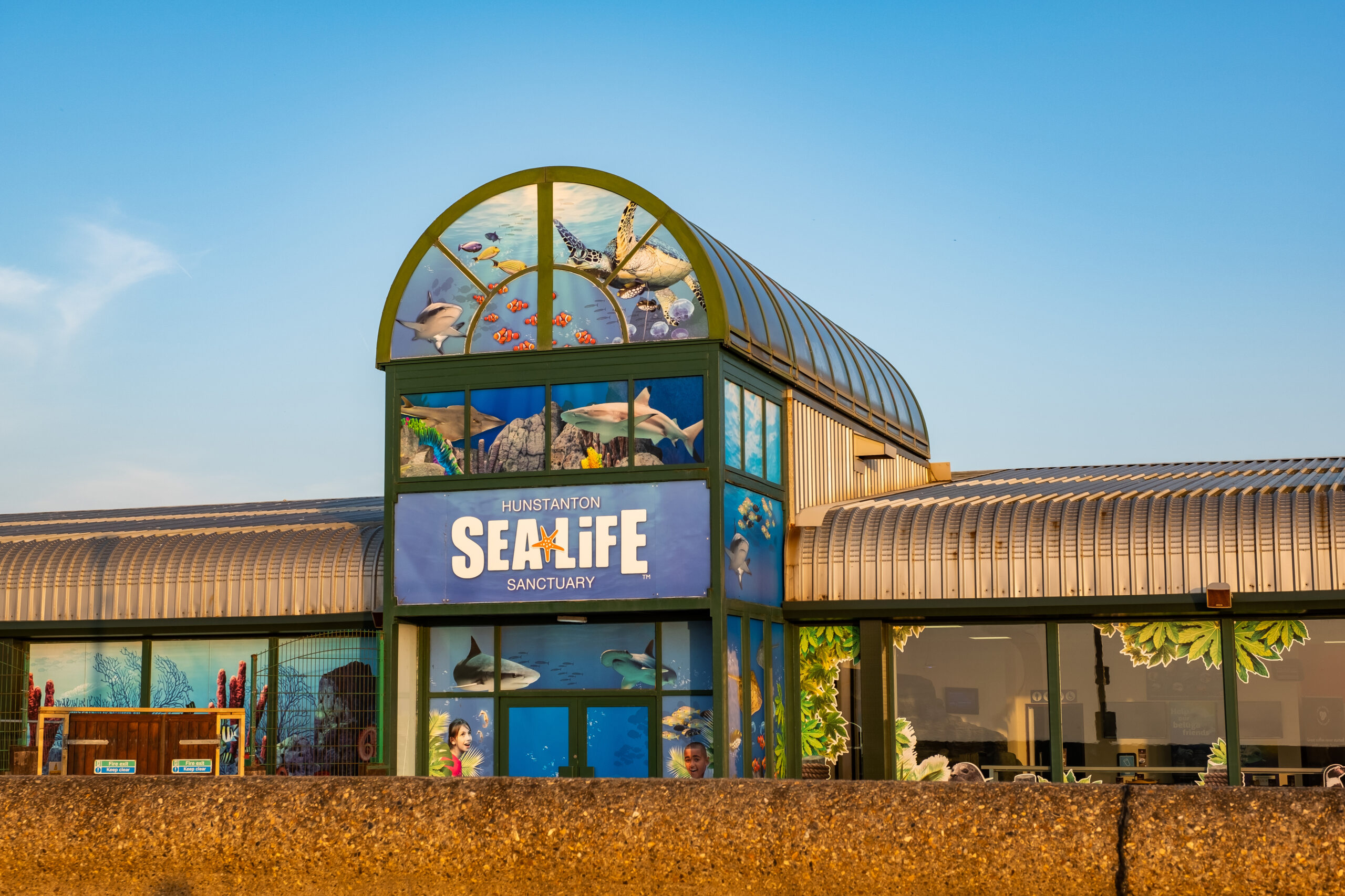 wildlife norfolk zoo - Hunstanton Sea Life centre
