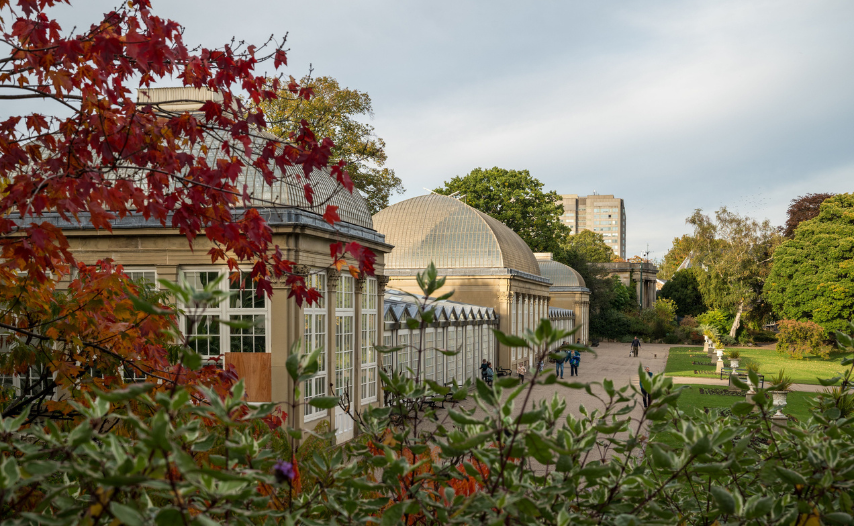 Sheffield Winter Gardens, Sheffield