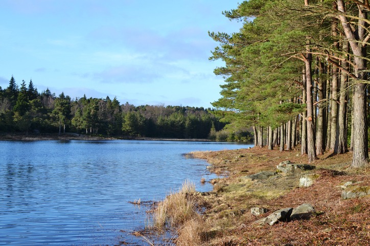 Cragside Estate Walk